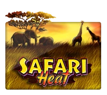 Joker123 : Safari Heat - CAMPSLOT138