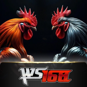 Ws168 Sabung - CAMPSLOT138