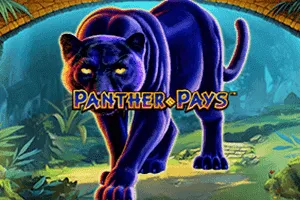 Panther Pays - CAMPSLOT138