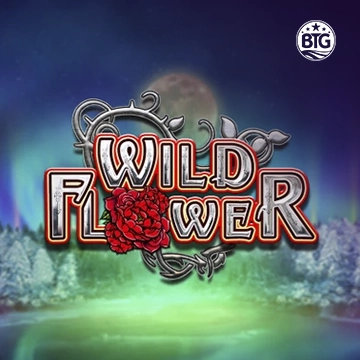 Bigtime : Wild Flower - CAMPSLOT138