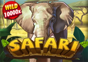 Safari - CAMPSLOT138